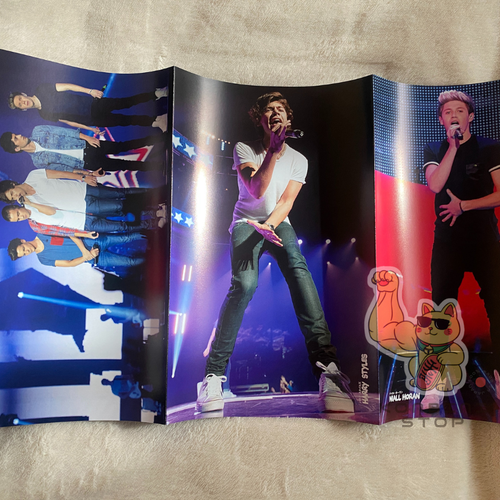 RARE - POP STYLES Vol.1 ONE DIRECTION Liam Payne Japan Music Magazine - Picture 11 of 12