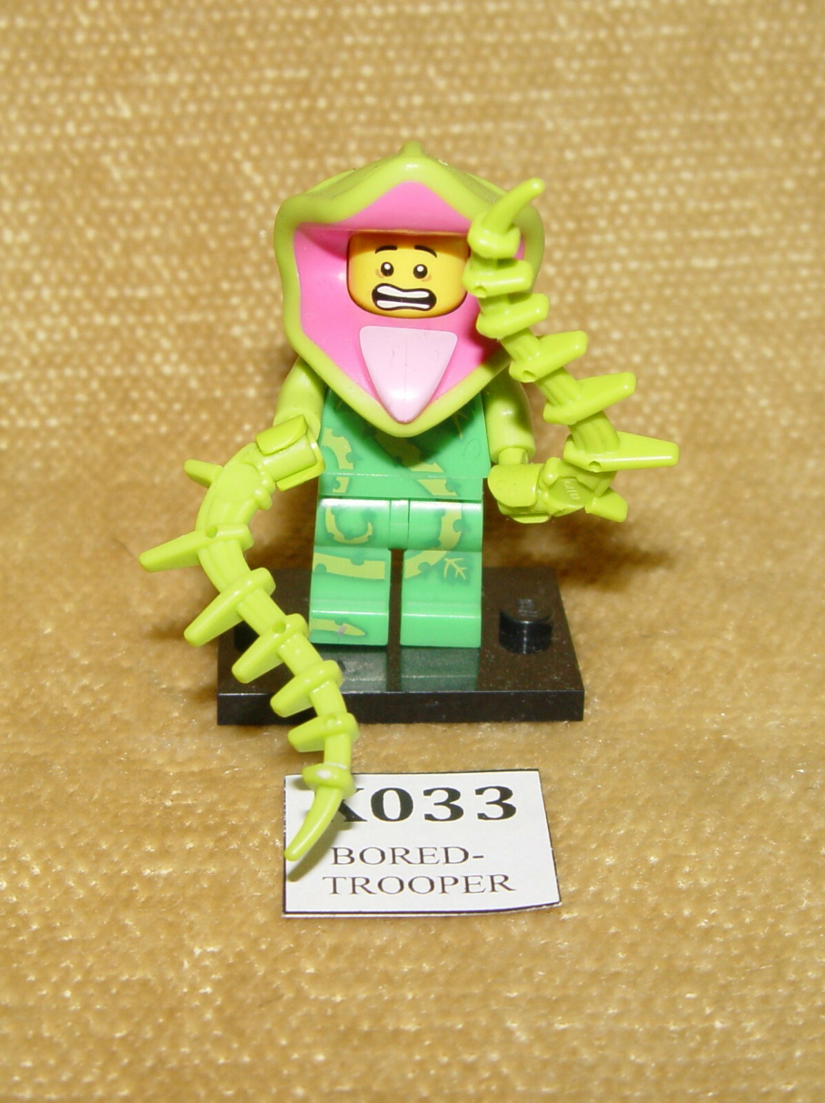 Picture 52 of 102