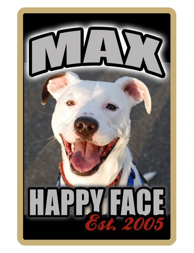 PERSONALIZED YOUR DOG SIGN YOUR PHOTO/TEXT ALUMINUM FULL COLOR CUSTOM DOG #3096 - Picture 4 of 10