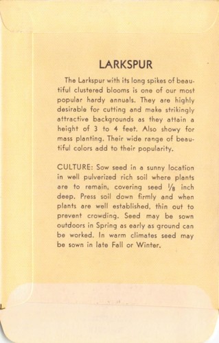 Vintage Seed Packet: White LARKSPUR, Lagomarsino & Sons, Sacramento, 1940's - Picture 2 of 2