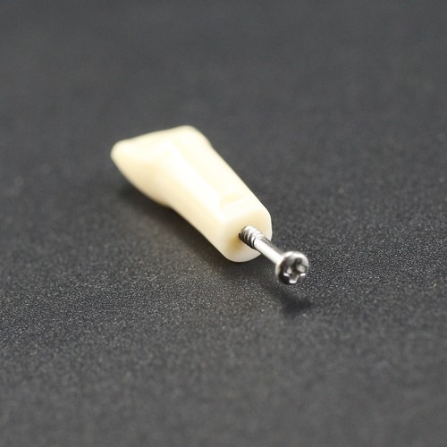 Dental Typodont Kilgore Nissin 200 Model 28 Teeth Replacement UR1 UL1 LR6 LL6 - Picture 24 of 113