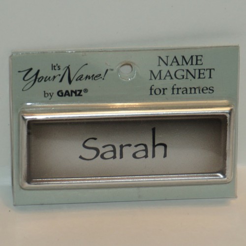 Magnets GANZ It's Your Name for Frames Choose Name Personalized Gifts Xmas Tags - Picture 163 of 184