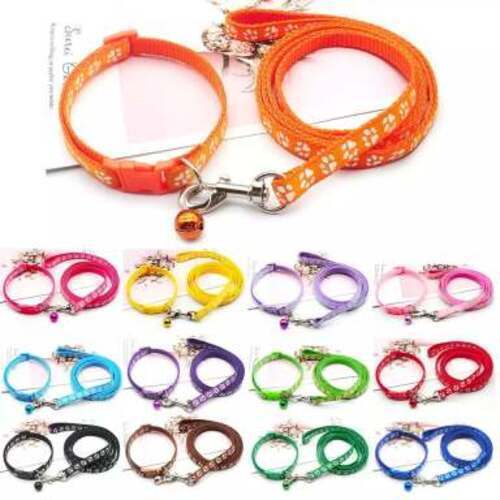 Welpenhalsband & Leine Set Verstellbar Hundehalsband Haustier Zubehör - Bild 2 von 24