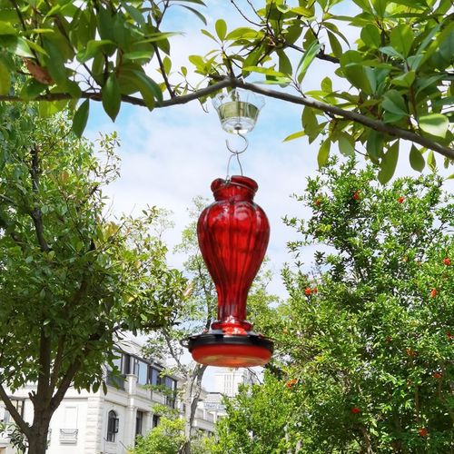 Hummingbird Feeder for Outdoors Hanging - Red Glass Nectar Feeding Bottle Red - Picture 8 of 12