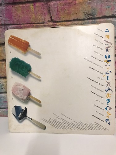 THE UNDERTONES - Positive Touch - Vinyl LP Record - Punk - Punk Rock 1st Press - Imagen 5 de 7