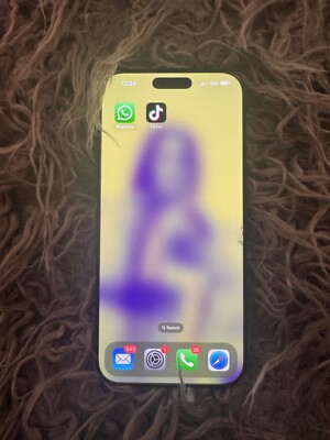 (TikTok Installed) Apple iPhone 16 Pro Max - 256 GB - Black (Unlocked)