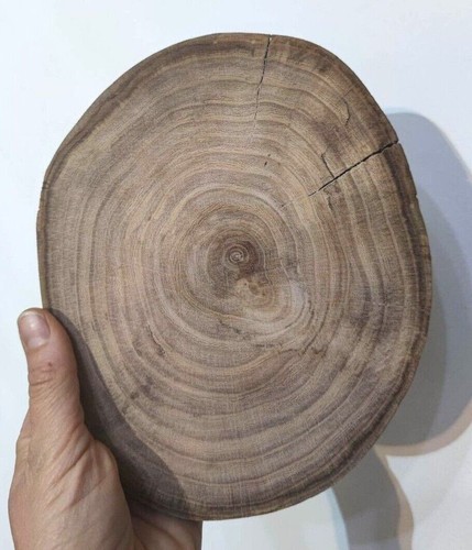 1-50 Stck. 2-23CM Birkenholz Holzscheiben Scheiben Rund Weihnachten Rustikales Handwerk - Bild 22 von 29