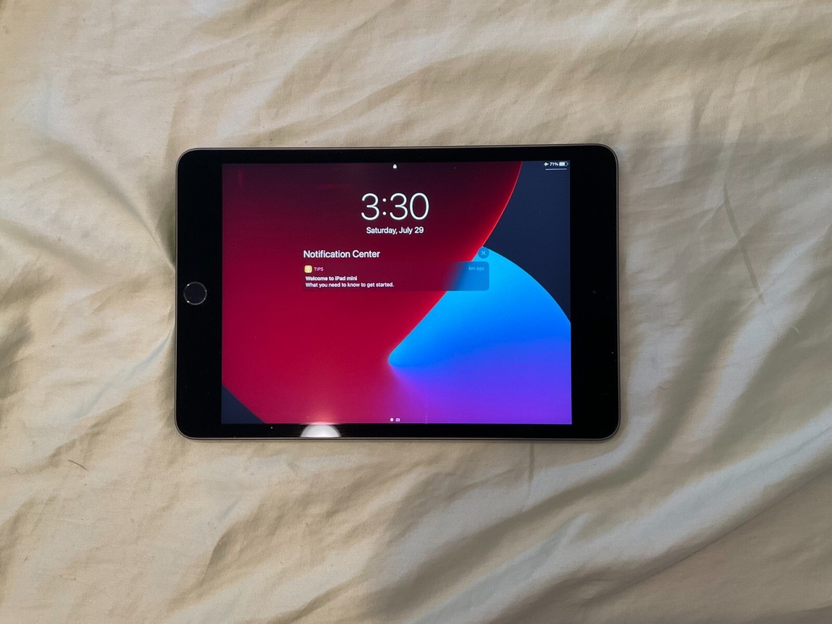 Apple 2019 iPad Mini 5th Generation 64GB Wi-Fi, 7.9in Space Gray