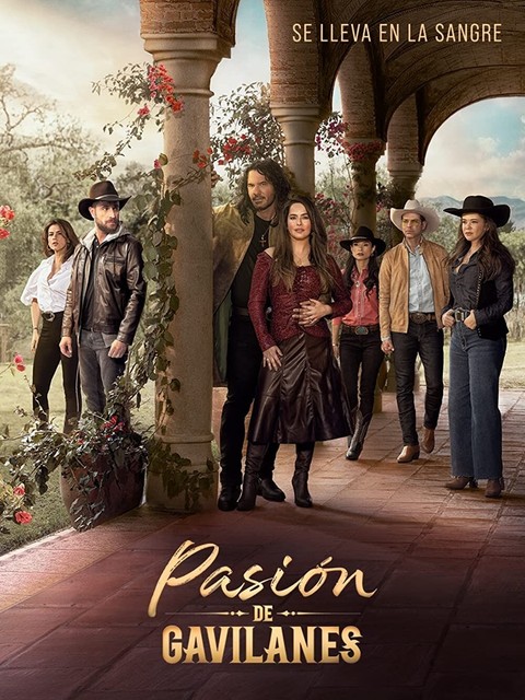 PASION DE GAVILANES NOVELA COLOMBIA 47 DISCOS 188 CAPITULOS 2004 PASION DE GAVILANES NOVELA COLOMBIA 47 DISCOS 188 CAPITULOS 2004