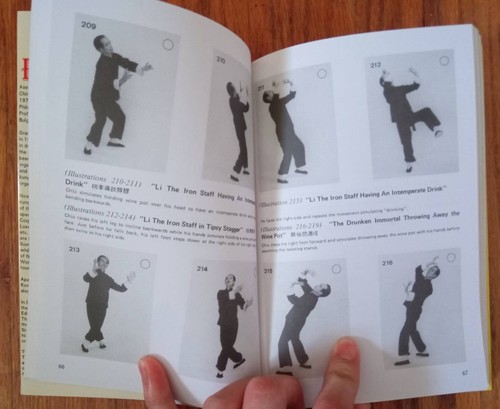 The Drunkard Kung Fu and Its Application by Dr. Leung Ting - Imagen 2 de 3