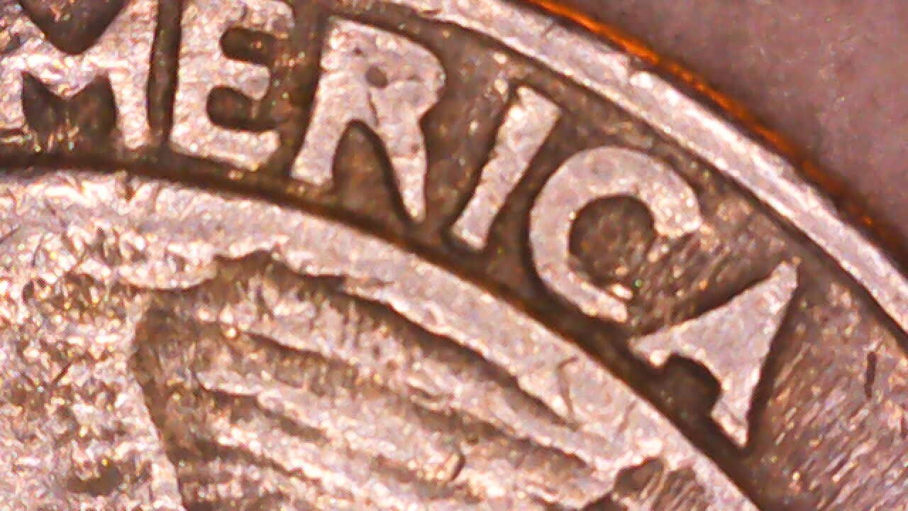 Picture 12 of 19