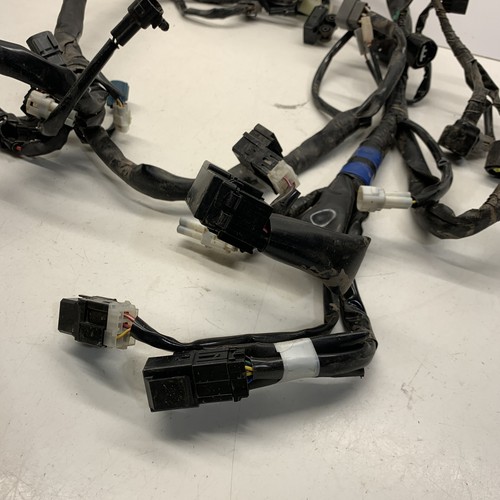 Wire Harness Assembly - 2023 YAMAHA RAPTOR 700 SE 64300 - Picture 2 of 14