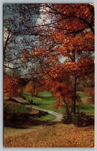 Postcard The Tints Of Autumn, Reed City, Michigan B12