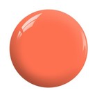 Foto 2 di 3