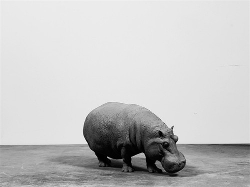 TUNAN Studio 1/18 Hippopotamus Model Animal Statue Collector GK Decor Gift Toy - Picture 2 of 10
