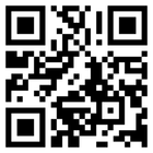 Bild 11 von 11