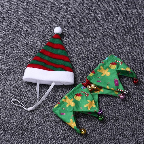 1 Stück Knochen Backenzahn Tragbar Kaustab Gummi Haustier Hundespielzeug Mastiffs Kauspielzeug - Bild 17 von 25