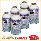 6 boîtes de rechange FrostyCool 134 pour R134a - 6 oz Canette