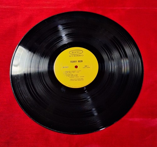 Terry Reid - Terry Reid 1969 LP Vinyl Pitman Pressing Epic BN26477 SPIELT SUPER - Bild 4 von 8
