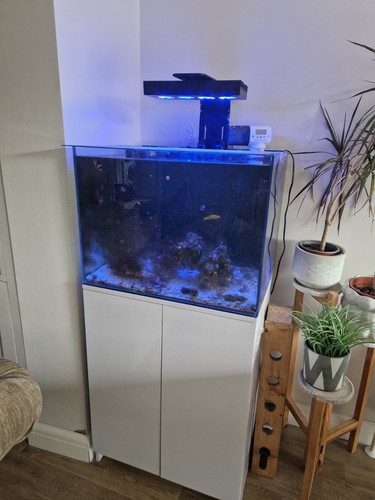 Aqua One MiniReef 120 Marine Reef Aquarium, TANK & CABINET and pumps - Picture 2 of 3