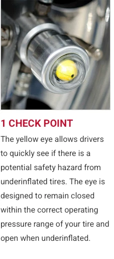 Sistema de manutenção de pressão de pneus Cat's Eye caminhão duplo reboque 110PSI 2pk aço - Imagem 4 de 4