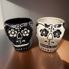 Skull Planter Pair | Plants | Goth | Dia de Los Muertos