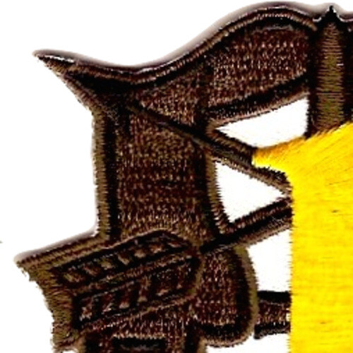 1st Special Forces Group Crest OD Yellow Patch - Bild 3 von 6