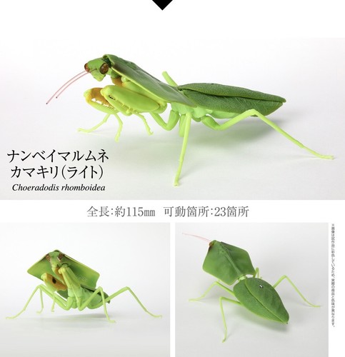 New Praying Mantis Series Vol.4 Figure BANDAI from Japan - Picture 5 of 58