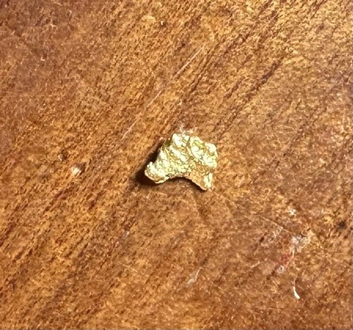 AUSTRALIAN NATURAL GOLD NUGGET 0.215 grams DETECTOR COIL PROSPECTING JEWELLERY 3 - Picture 5 of 8