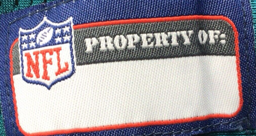NFL Licensed Philadelphia Eagles Throwback Jersey Mesh Dog Pet Jersey SZ LG - Picture 7 of 9