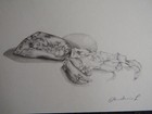 Picture 3 of 12