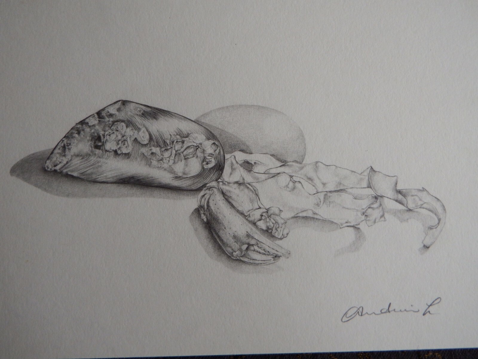Picture 3 of 12