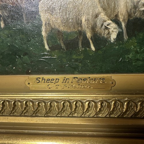 Óleo sobre panel Charles T. Phelan alrededor de 1880 ovejas en pasto - Imagen 2 de 9