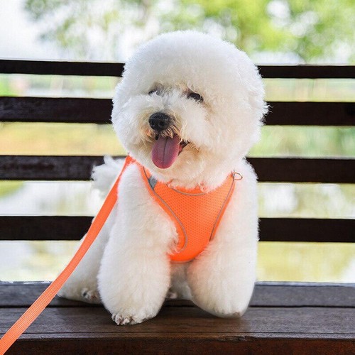 Reflective Dog Harness Nylon No Pull Pet Collars leash Vest Puppy Cat Breathable - Picture 3 of 26
