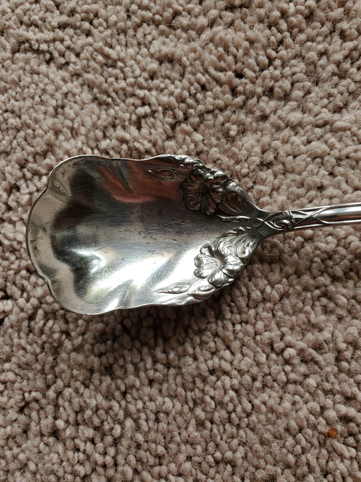 Picture 3 of 5