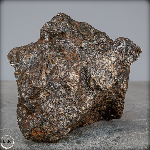 Natürlicher Sehr Großer Meteorit Campo Del Cielo, Argentinien - 2572,53g - Picture 10 of 10
