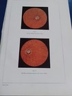 Foto 4 di 5