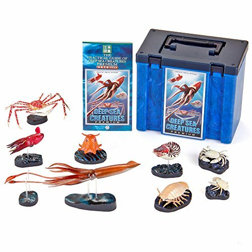 Solid book real figure box deep sea biology premium box 8 of eight Solid book real figure box deep sea biology premium box 8 of eight