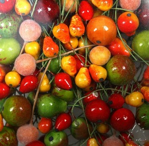 Mega-Mini-Fruit-Set-Vintage-Spun-Cotton-5-oz-IV3-3627