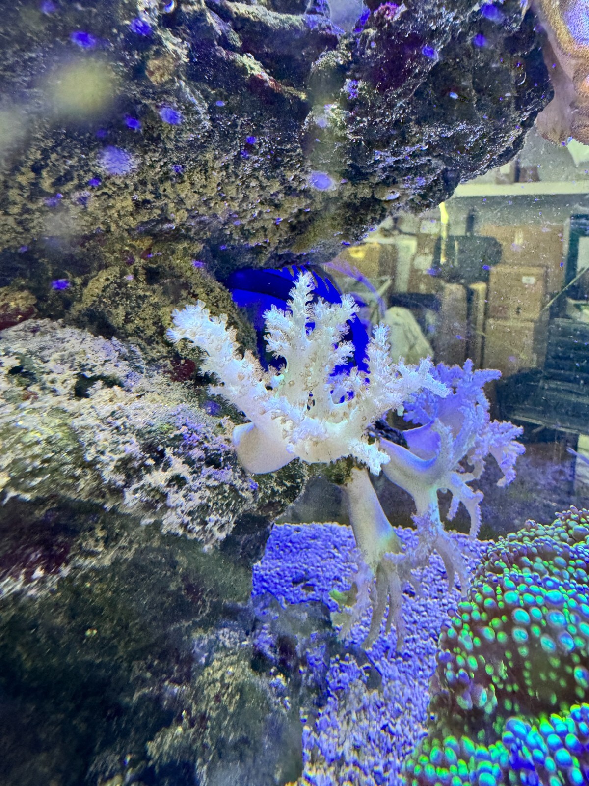 Foto 7 di 7