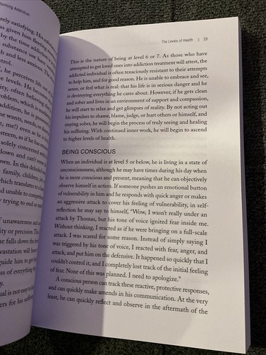 The Alchemy of the Enneagram in Transforming Addiction by Michael Naylor - Foto 3 di 4