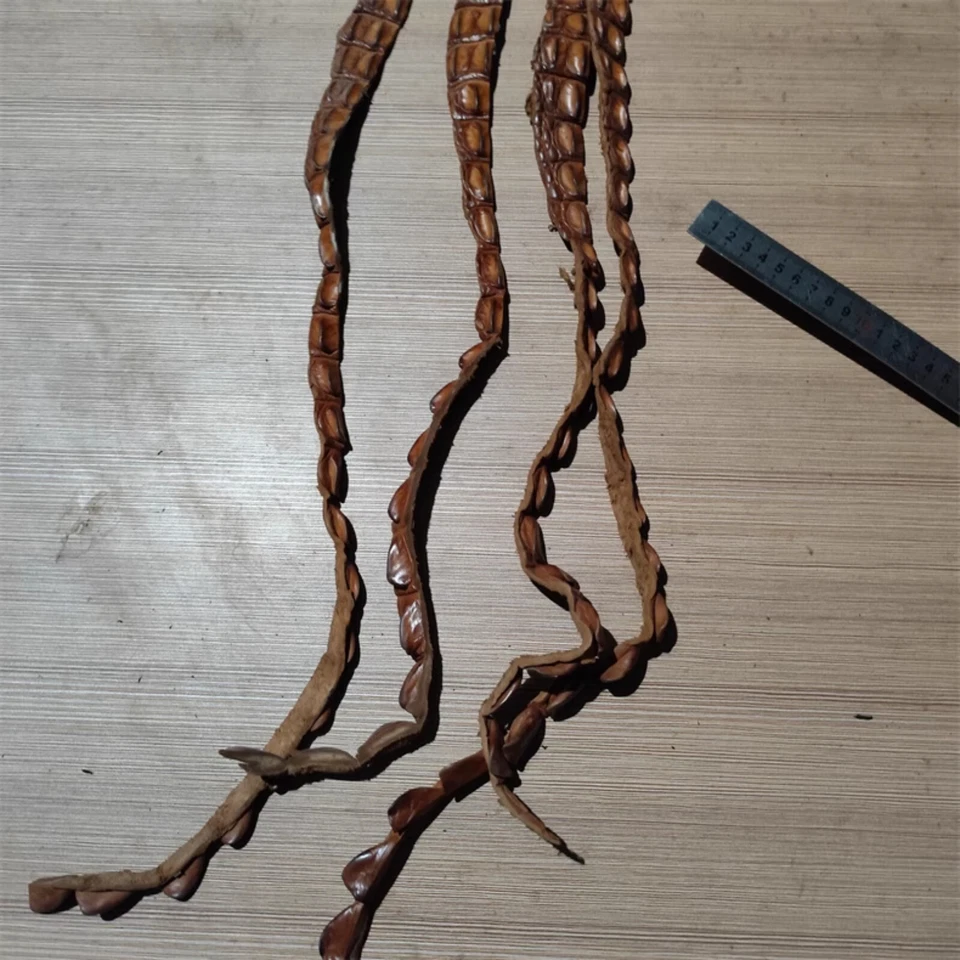 1X Real Alligator Crocodile Leather Hide Bone Craft Skin Pelt DIY Keychain Brown - Image 4 of 4