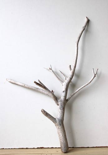 Madera flotante Driftwood 1 raíz decoración terrario 55 cm - Imagen 1 de 18