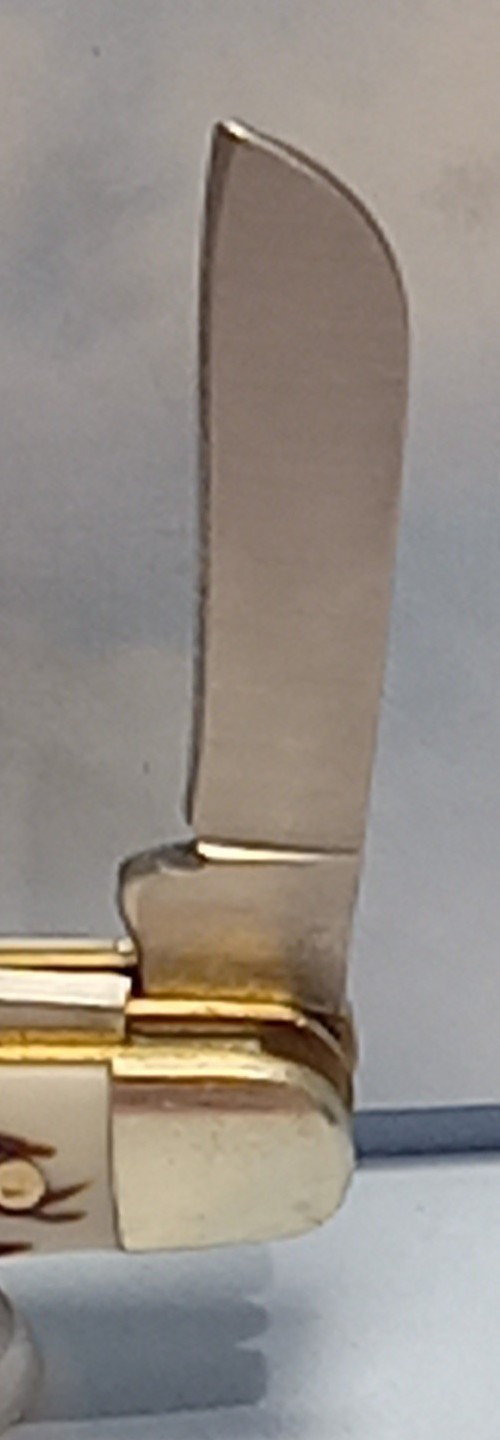Picture 7 of 12