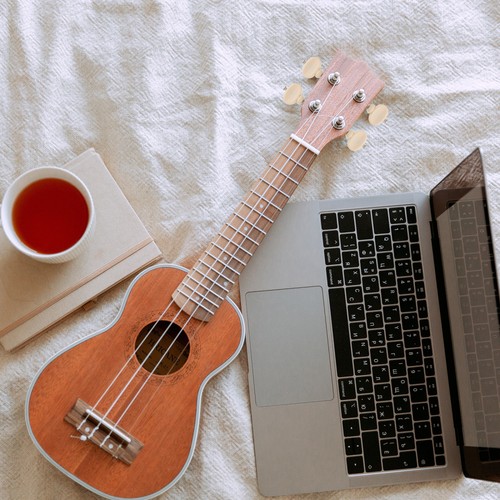 4 piezas clavijas de afinación de rotación de ukelele afinadores fricción - Imagen 3 de 11