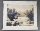 Vtg STEPHEN WILLARD Orig Photograph #1145 Joshua Trees Mountain Desert 9.5x11.25 — photo 2