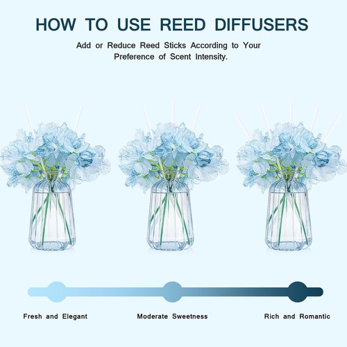 Homsolver Home Decor Reed Diffuser Set, Gifts for Women, 6.09 OZ Sea Blue  - Bild 4 von 6