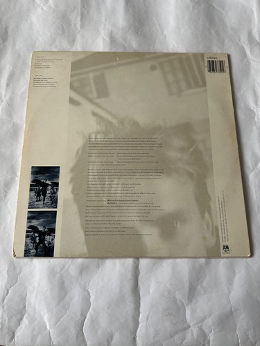 Sting - The Dream Of The Blue Turtles - Picture Disc LP - 1985 - DREMP 1 - Picture 2 of 6