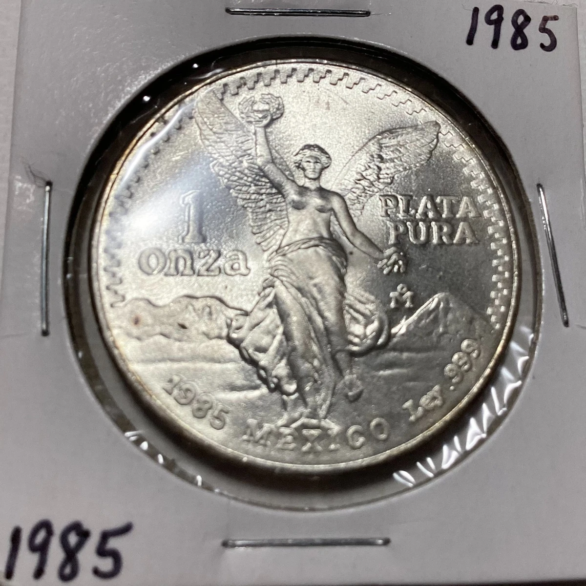 1985年 リバティシルバー 1985 liberty coin - Etsy 日本