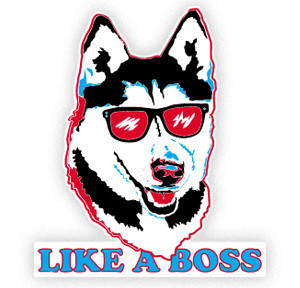 |High Quality Vinyl Siberian Husky Dog Window Decal Sticker Got Snow